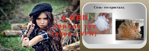 ПСИЛОЦИБИНОВЫЕ ГРИБЫ Богданович