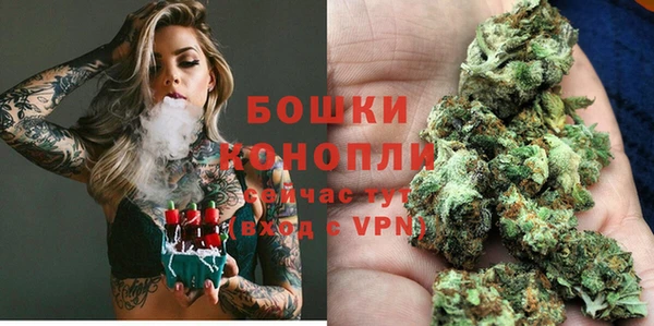 амф Богородицк