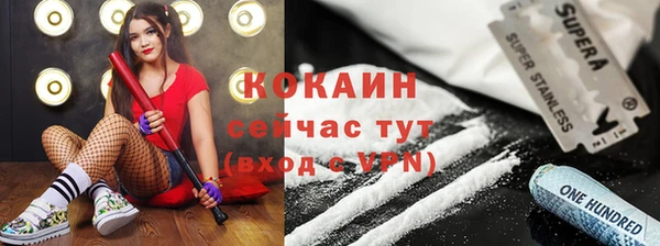 ПСИЛОЦИБИНОВЫЕ ГРИБЫ Богданович