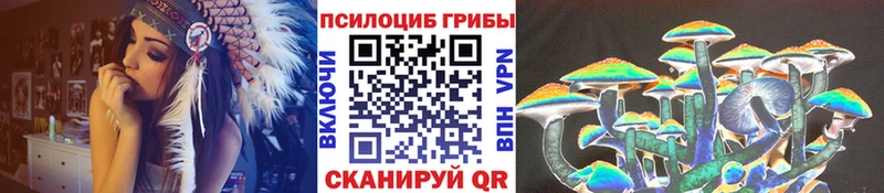 Псилоцибиновые грибы Cubensis кракен онион Великий Устюг