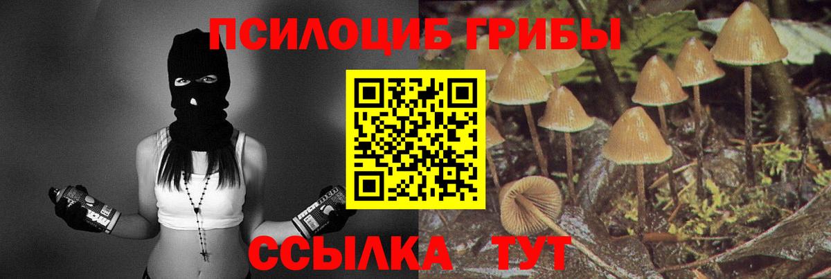 Псилоцибиновые грибы прущие грибы  Псилоцибиновые грибы мухоморы  Великий Устюг  купить наркотик  Вход с VPN 